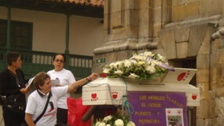 Proponen foro para conciliar posiciones sobre centro de zoonosis