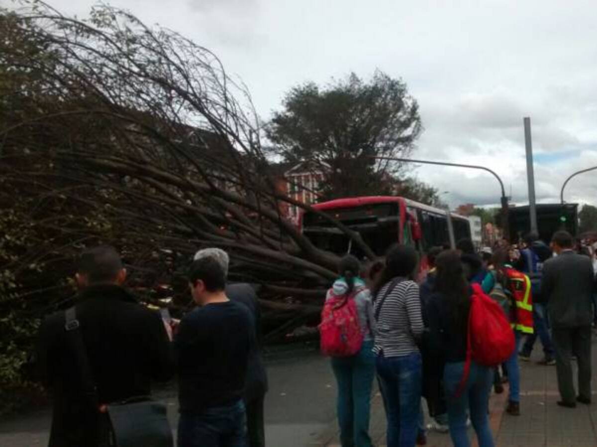 Seis puntos afectados en Bogotá por caída de árboles