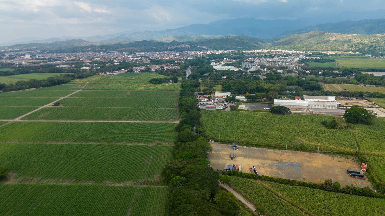 Entre las especies más destacadas se encuentran samanes, ceibas, piñón de oreja, guayacán, carboneros y cámbulos, entre otras. 
