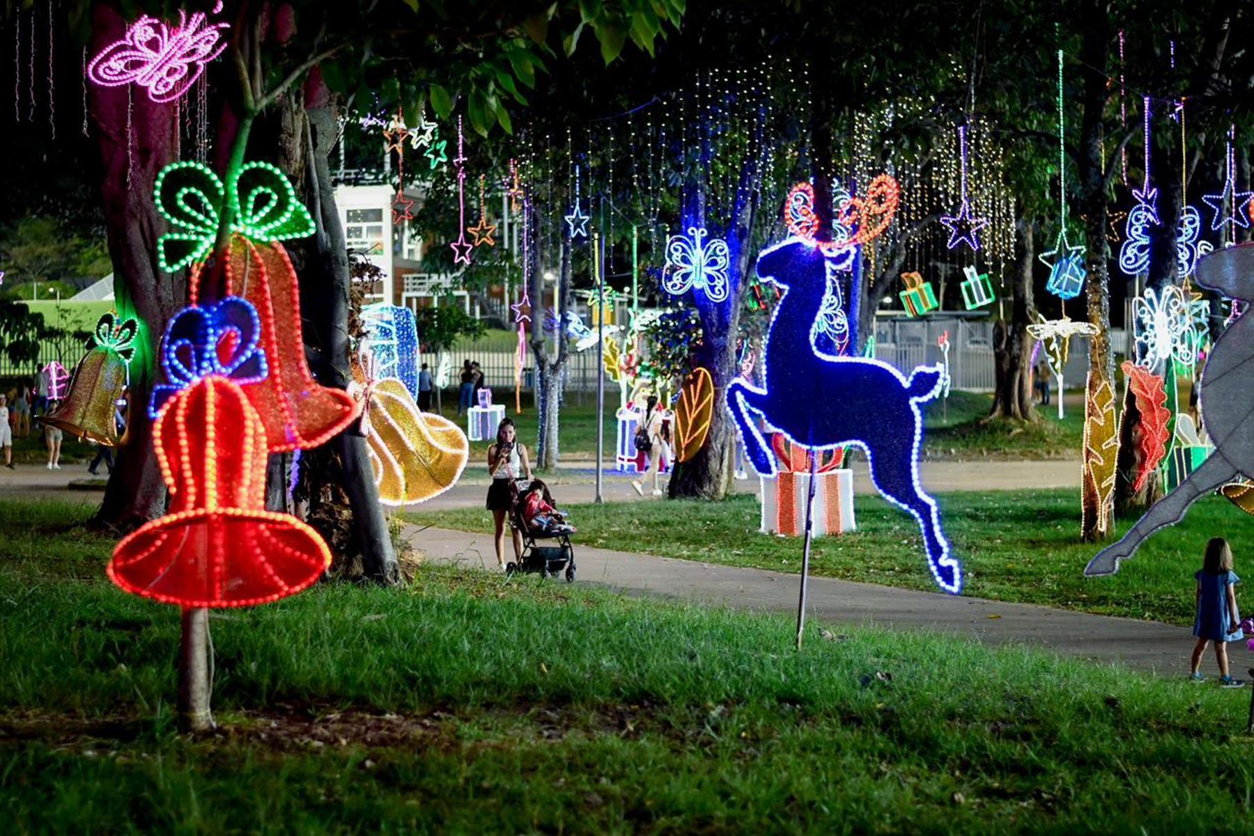 Alumbrado navideño 2025