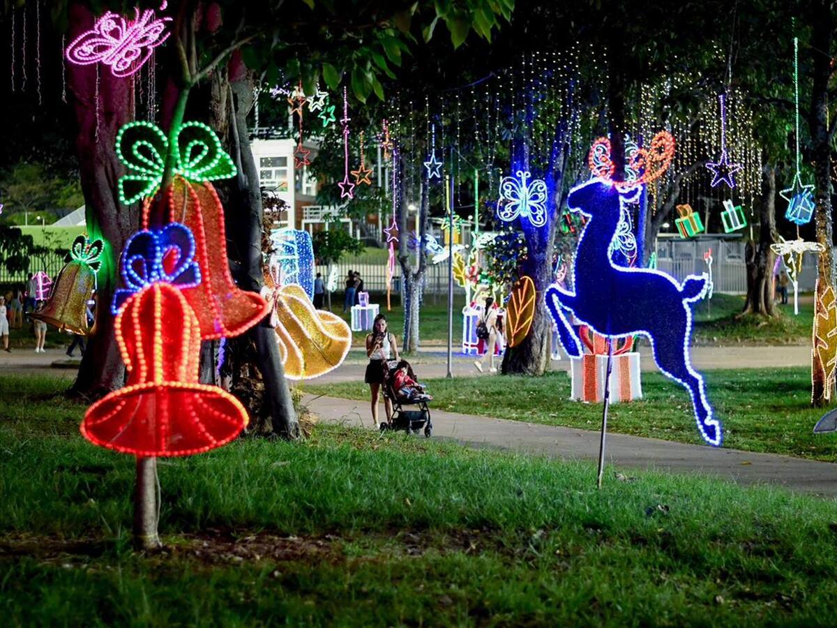 Ibagué enciende más de 5 millones de luces en 4 mil figuras del alumbrado navideño 2025