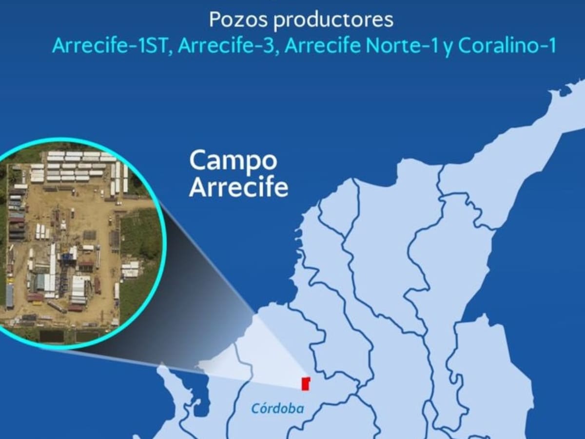 Hocol declaró comercialidad del campo Arrecife en el departamento de Córdoba