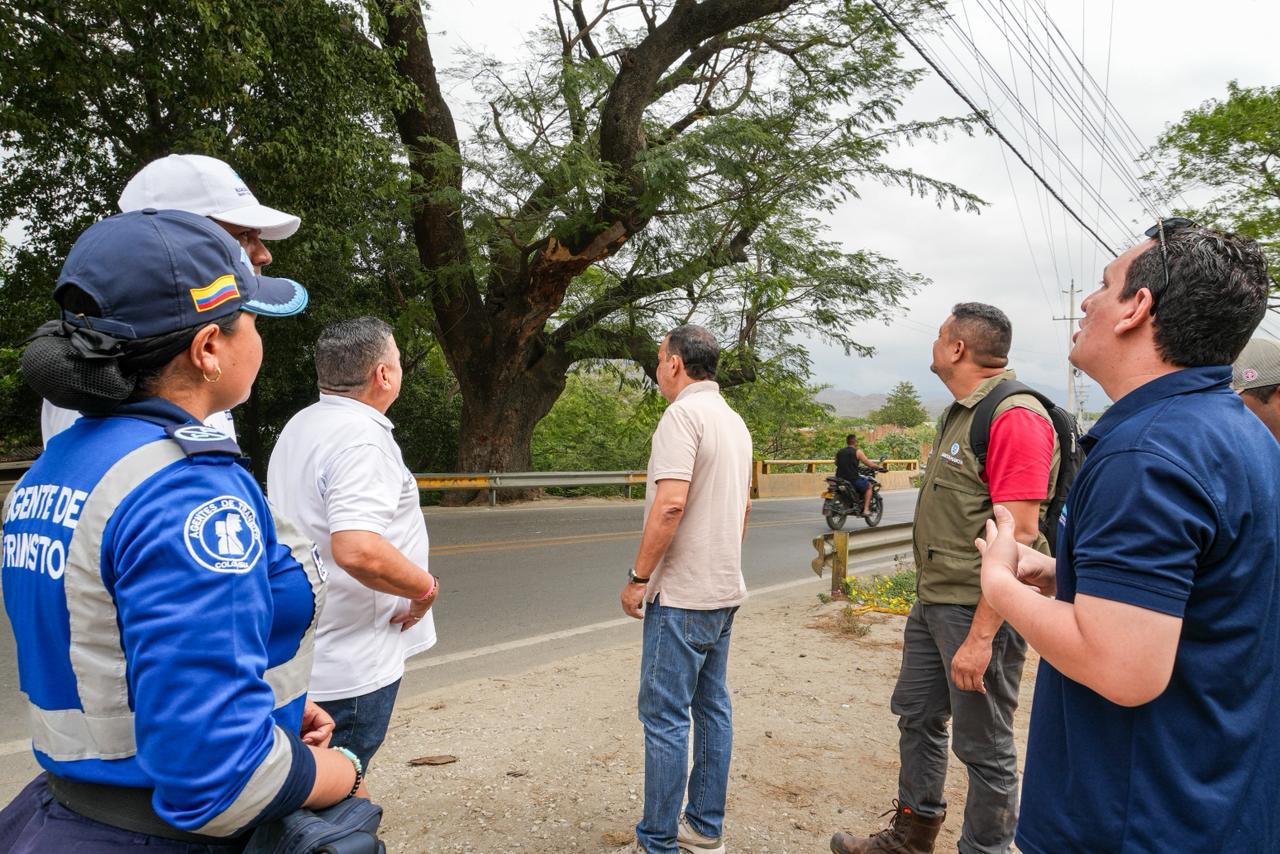 Cerrada temporalmente La vía Santa Marta – Palomino por intervención de árbol en riesgo/ Alcaldía de Santa Marta.