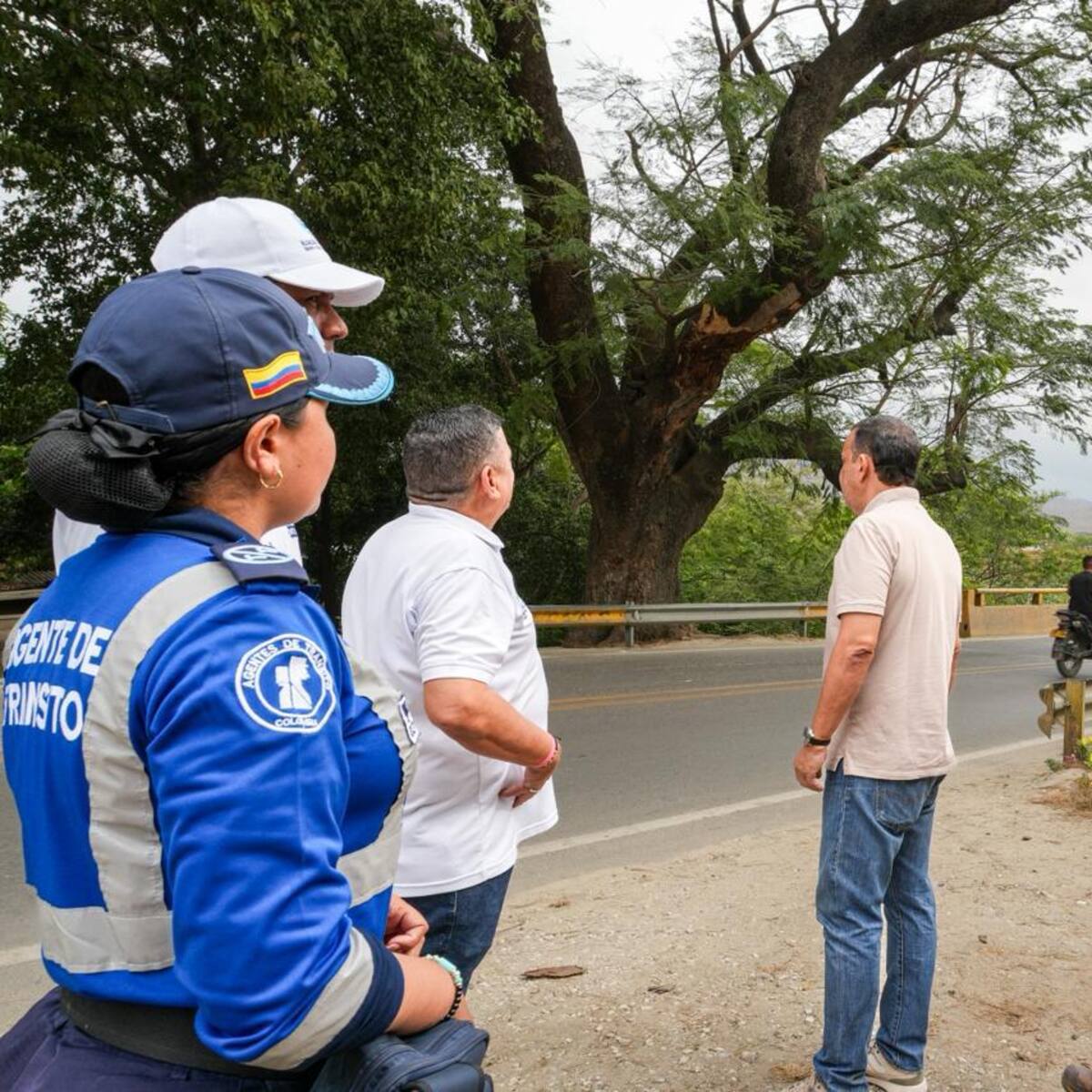Cerrada temporalmente la vía Santa Marta – Palomino por intervención de árbol en riesgo de caída