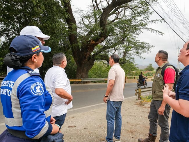 Cerrada temporalmente La vía Santa Marta – Palomino por intervención de árbol en riesgo/ Alcaldía de Santa Marta.