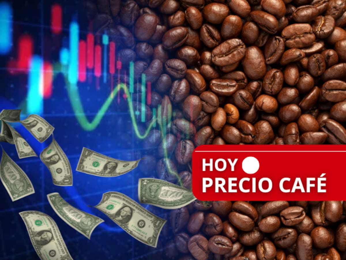 ¡Importante subida! Precio de la carga de café para hoy, 8 de octubre en Colombia, según FNC