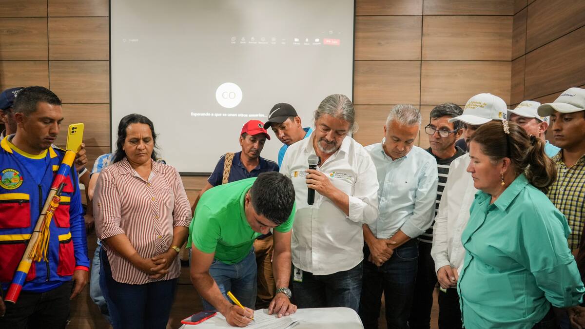 Agencia de Desarrollo Rural lanza plan de salvamento para productores de cebolla en Norte