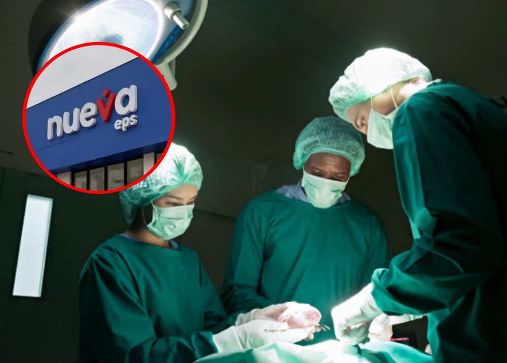 Pacientes trasplantados denuncian estar en riesgo por no recibir medicamentos (créditos: GettyImages e imagen de archivo)