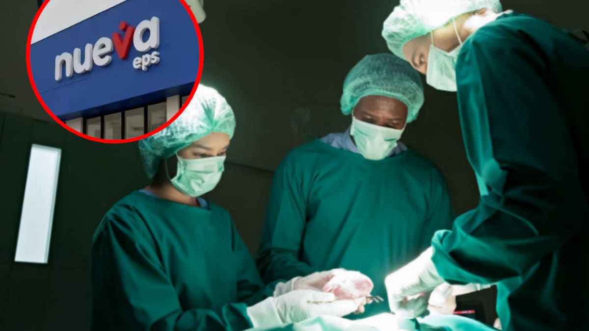 Pacientes trasplantados denuncian estar en riesgo por no recibir medicamentos