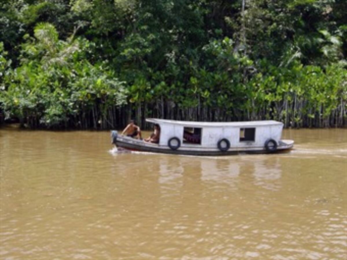 Calentamiento global extiende degradación en el 'Amazonas marino', según ONG