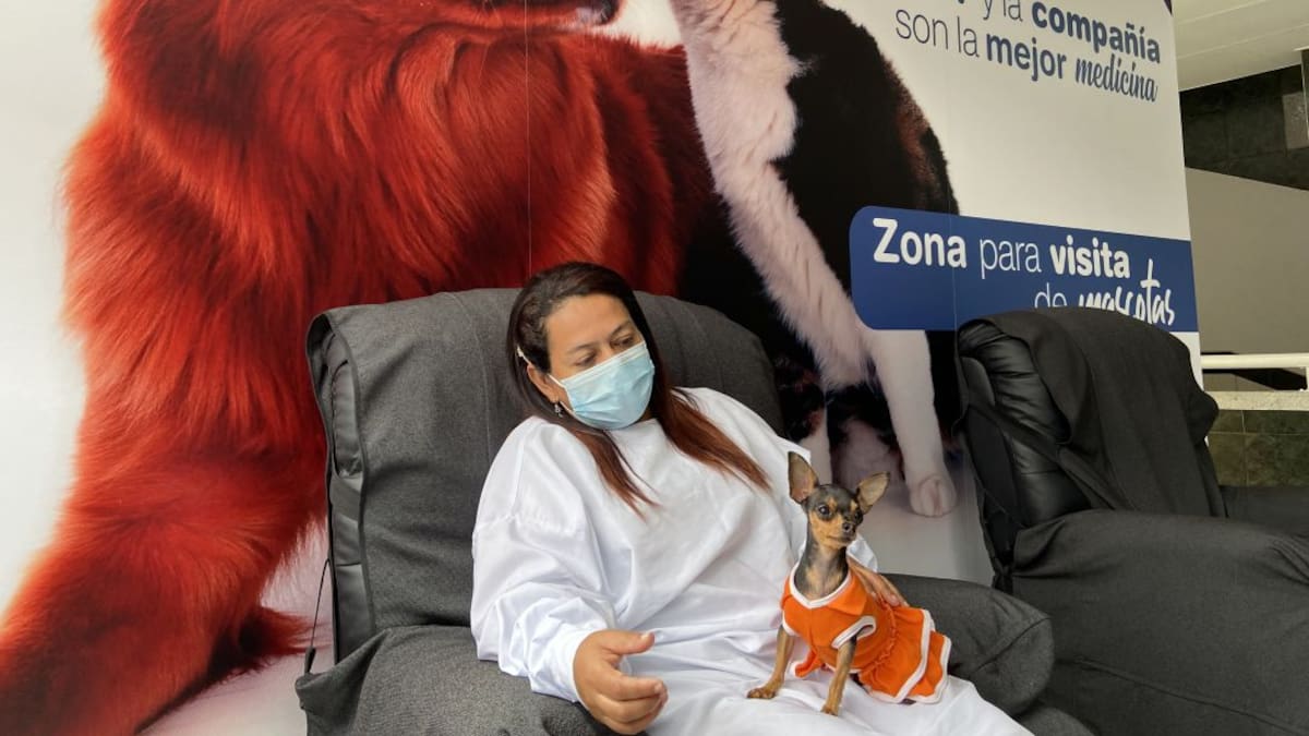 Hospital Marco Fidel permite la visita de las mascotas a los hospitalizados