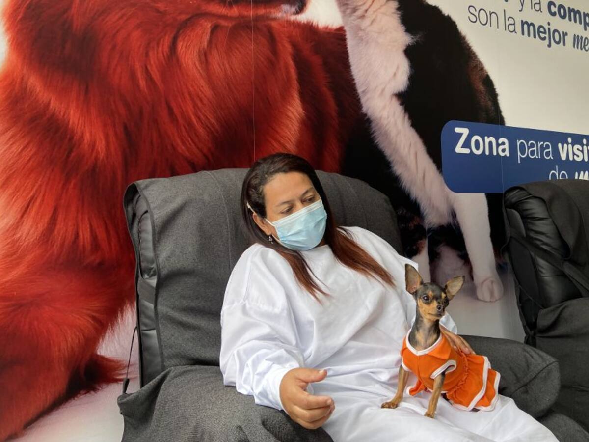 Hospital Marco Fidel permite la visita de las mascotas a los hospitalizados