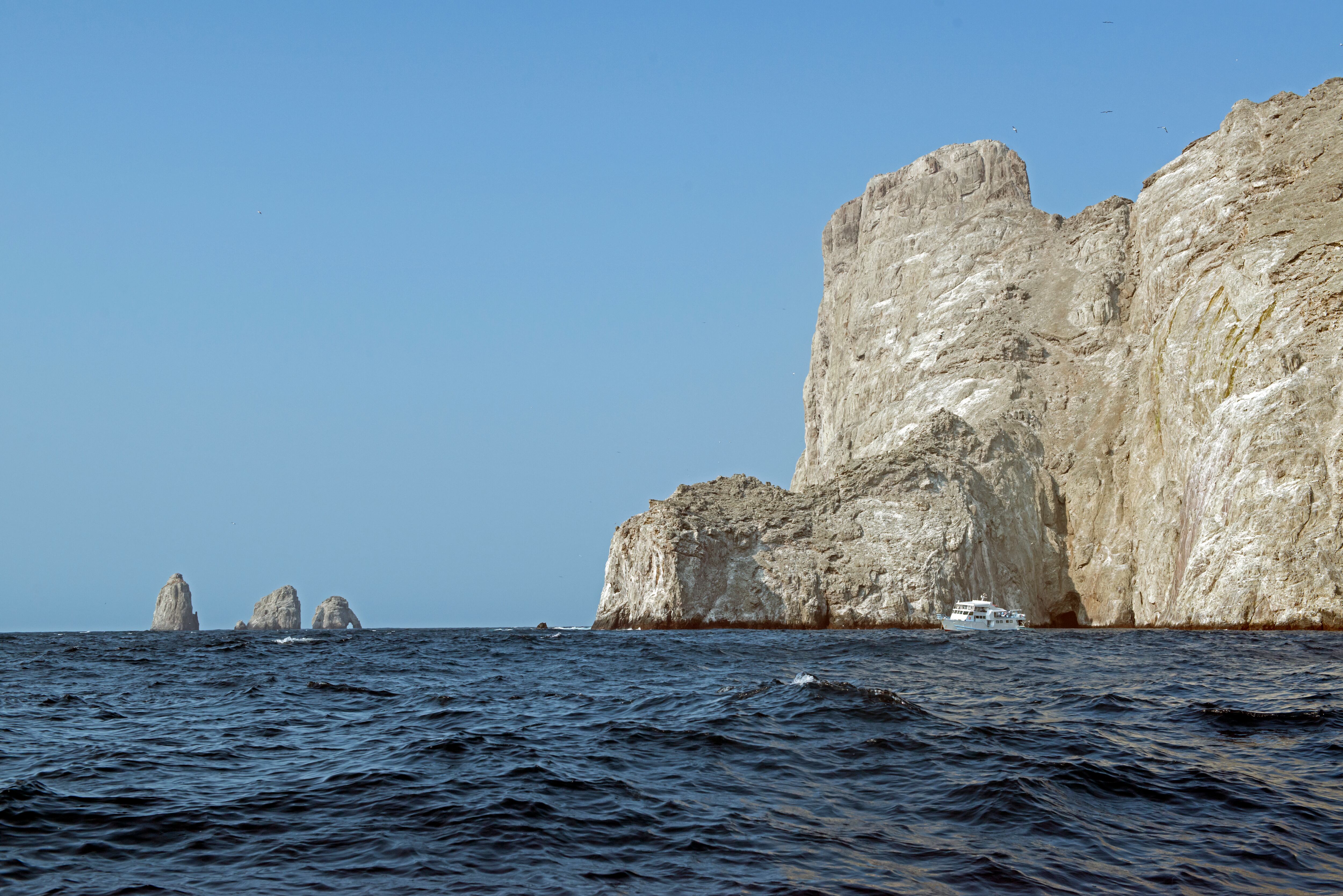 ISLA MALPELO, Colombia, East Pacific Ocean | Getty images