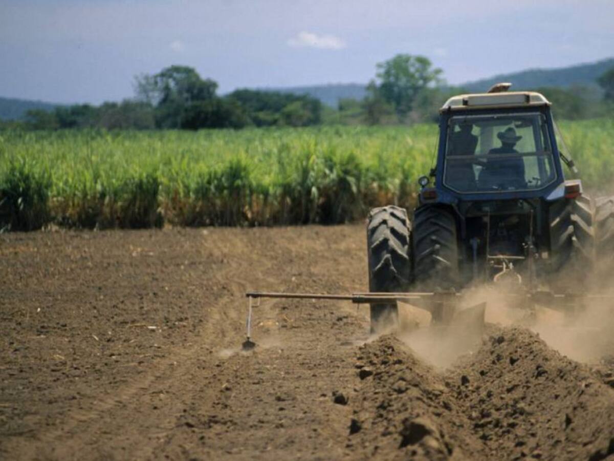 Sindicato de Monómeros advierte que está en riesgo el agro colombiano