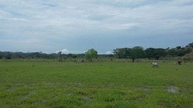 Imagen de referencia. Foto: Colprensa