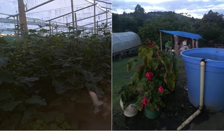 Fotos: cortesía Aldúber Rodríguez 