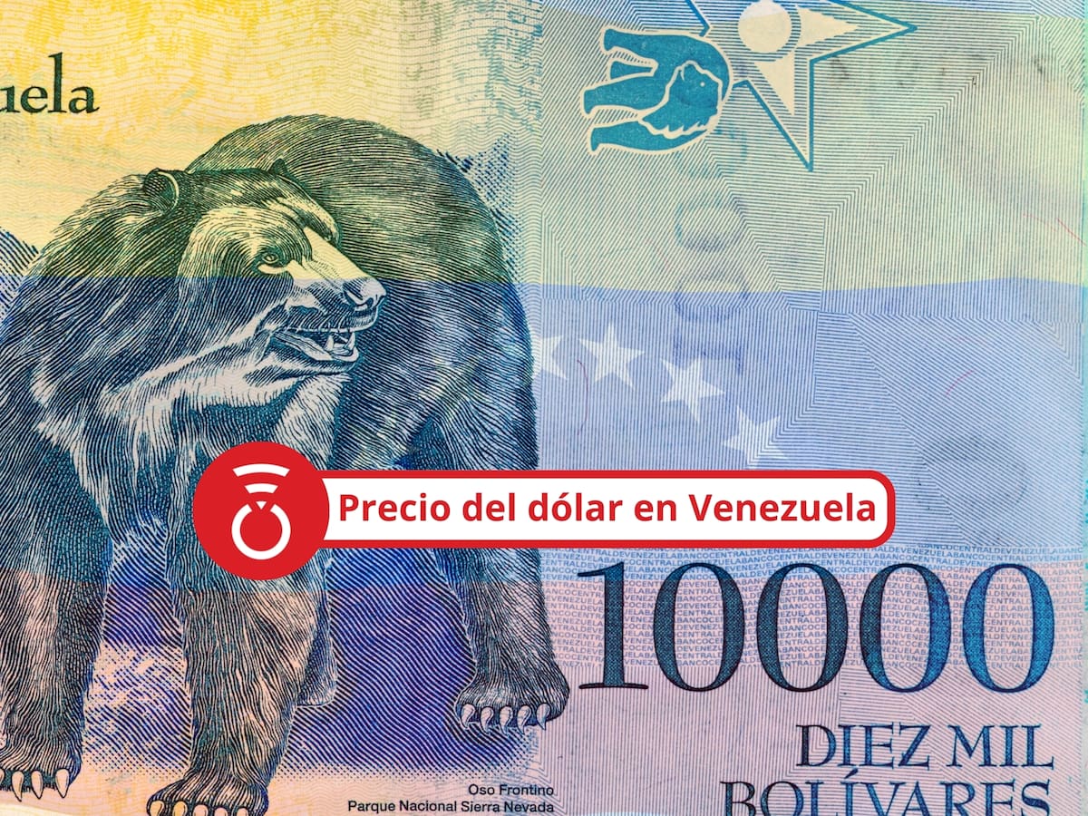 Precio del dólar en Venezuela para HOY 11 de mayo de 2026: BCV estima alzas a inicio de semana