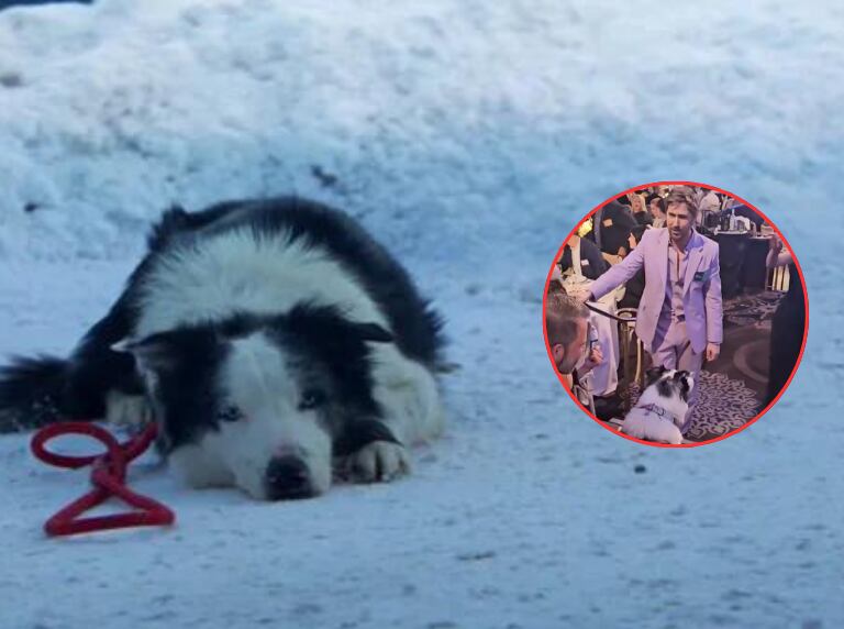 Escena de Anatomía de una caída, Snoop en la nieve / Momento en que se encuentra Ryan Gosling con Messi (X: @shannonlada y @neonrated)