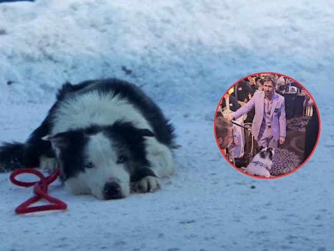 Escena de Anatomía de una caída, Snoop en la nieve / Momento en que se encuentra Ryan Gosling con Messi (X: @shannonlada y @neonrated)