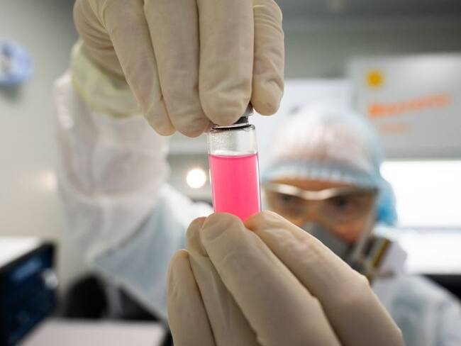 Vacuna contra la COVID-19 en animales