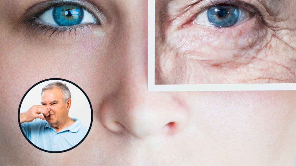 ¿A qué edad aparece el ‘olor a viejito’ en el cuerpo? Esto dice la ciencia