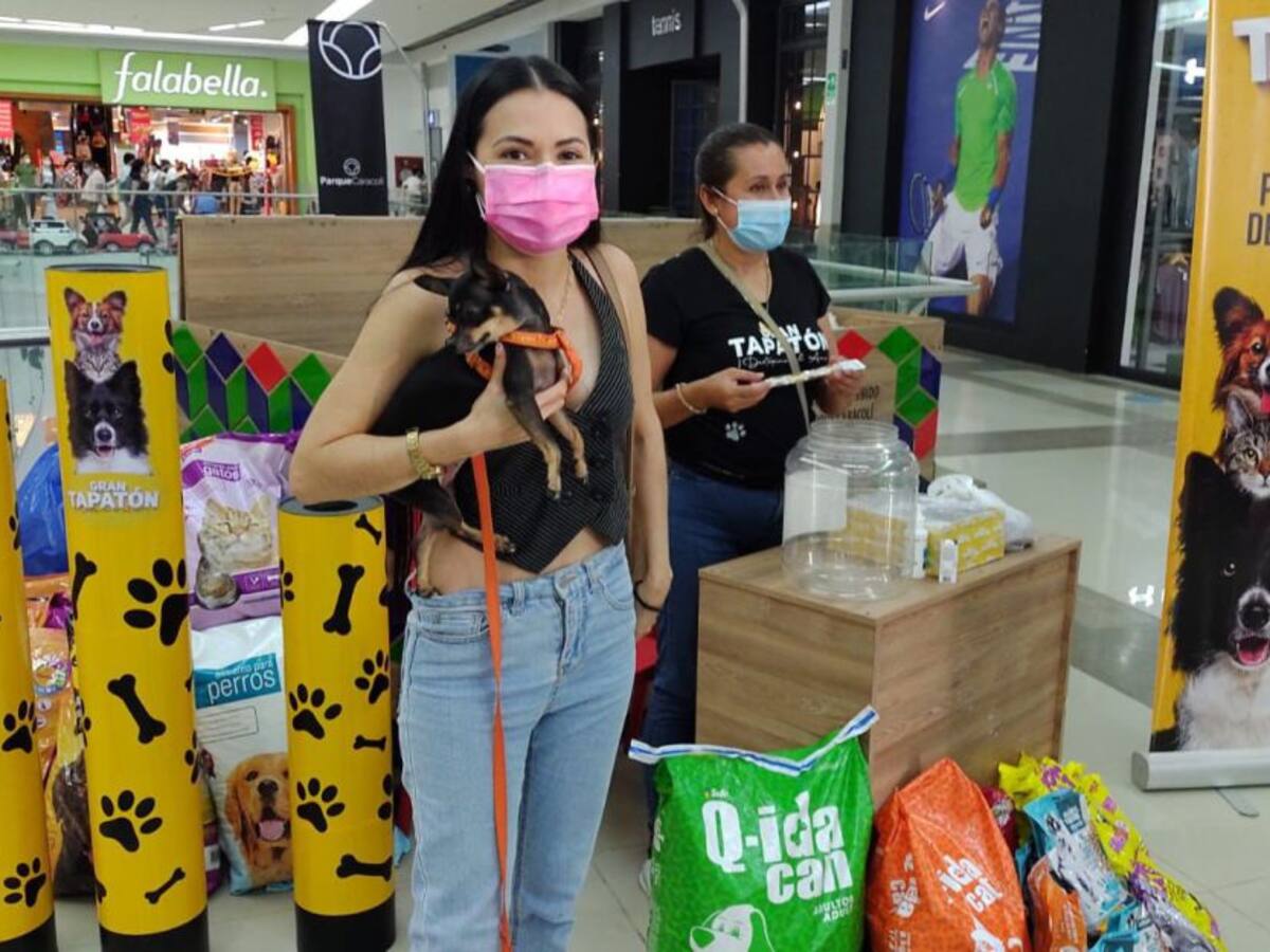 Habrá 'tapatón' para animalitos abandonados