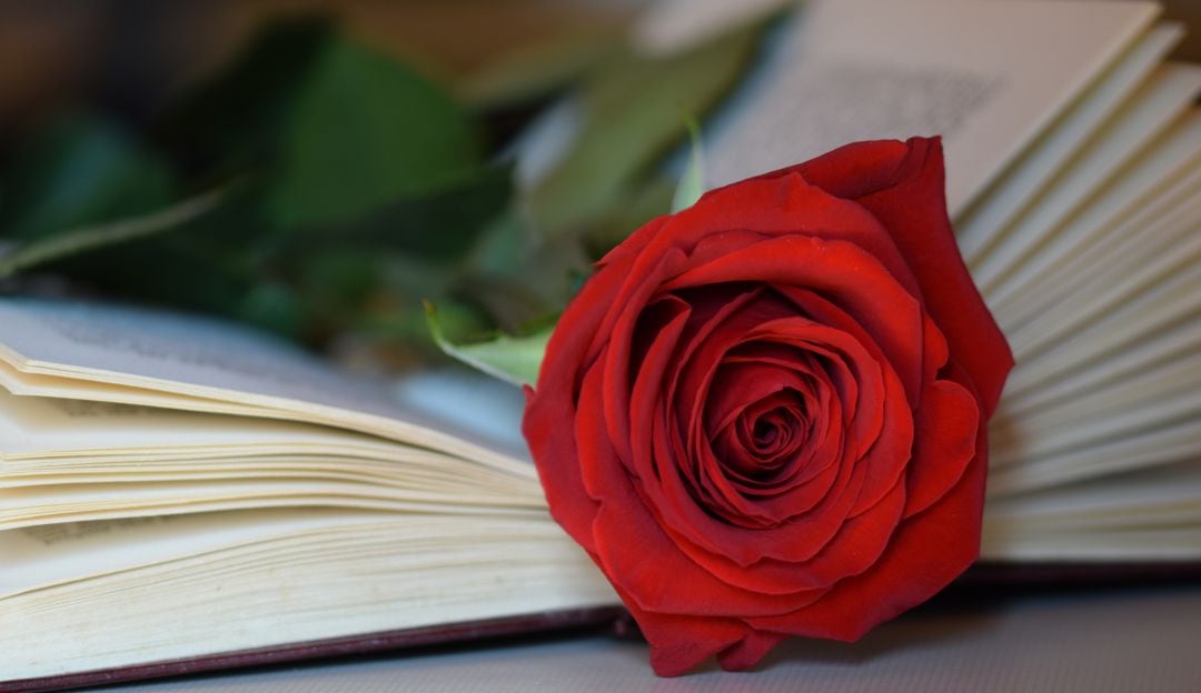 Poemas de Jaime Arturo Martínez Salgado, en el Día de la Madre