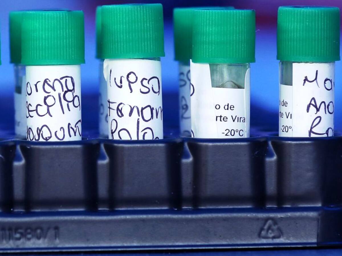 Coronavirus en Cartagena: 291 nuevos casos y cuatro fallecidos