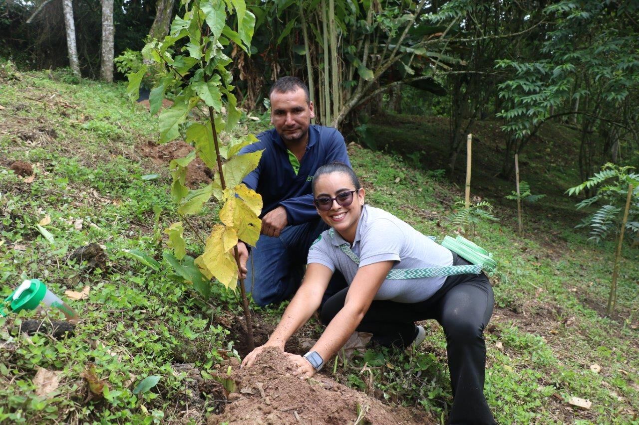Siembra de árboles alrededor de la quebrada Mal Paso en parque Soledén en Comfenalco, Quindío. Foto: Cortesía Comfenalco