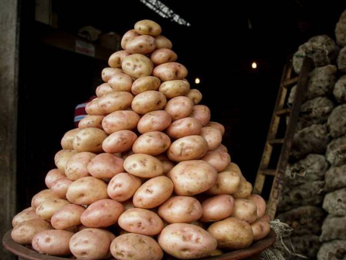 En Bogotá y Cundinamarca el precio de la papa se ha incrementado en un 80%