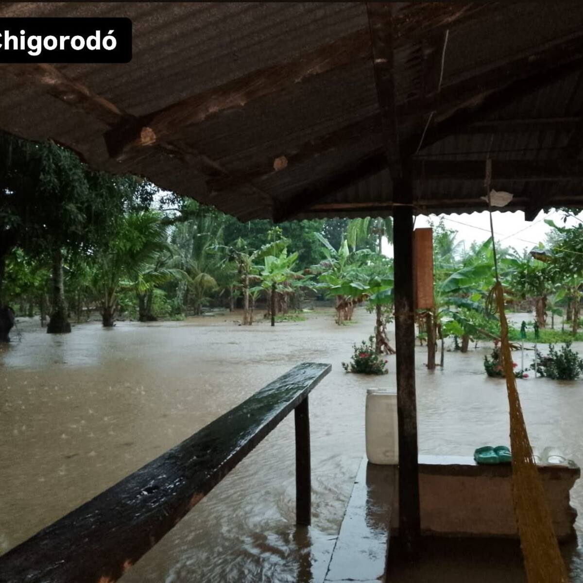 Lluvias del 14 de febrero dejan emergencias en cinco municipios de Antioquia