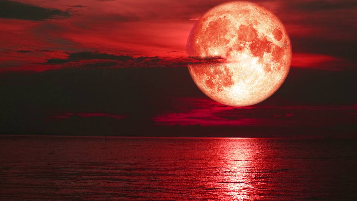 Rituales para la Luna Nueva en Virgo: manifieste prosperidad y abundancia