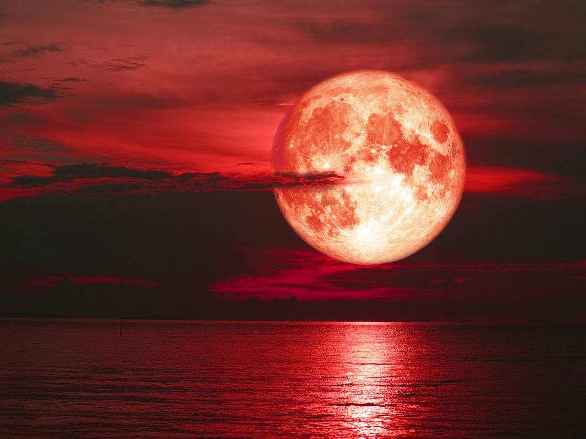 Rituales para la Luna Nueva en Virgo: manifieste prosperidad y abundancia