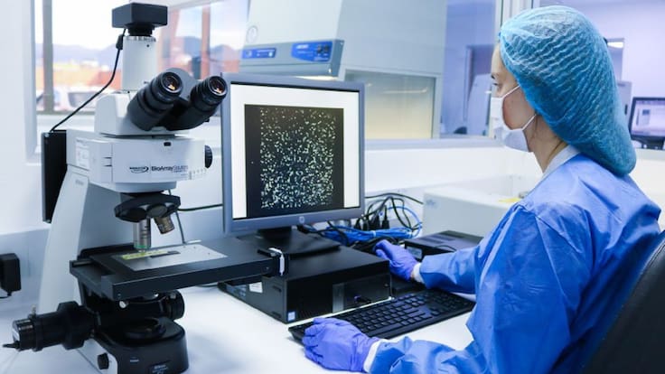 Confirman circulación de cepa británica en Santander