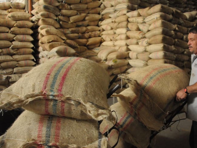 Cafeteros en Norte de Santander reportan buen precio del grano