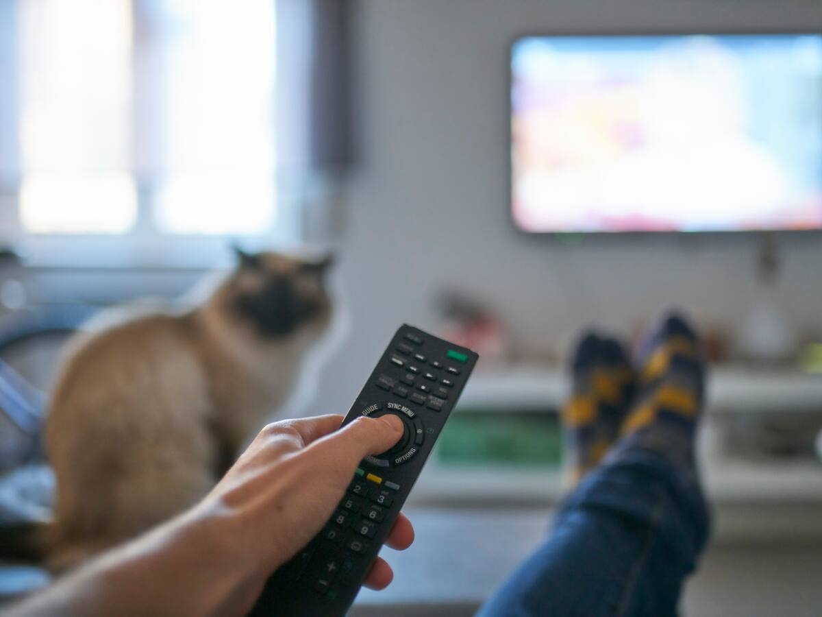 Rating televisivo en Colombia