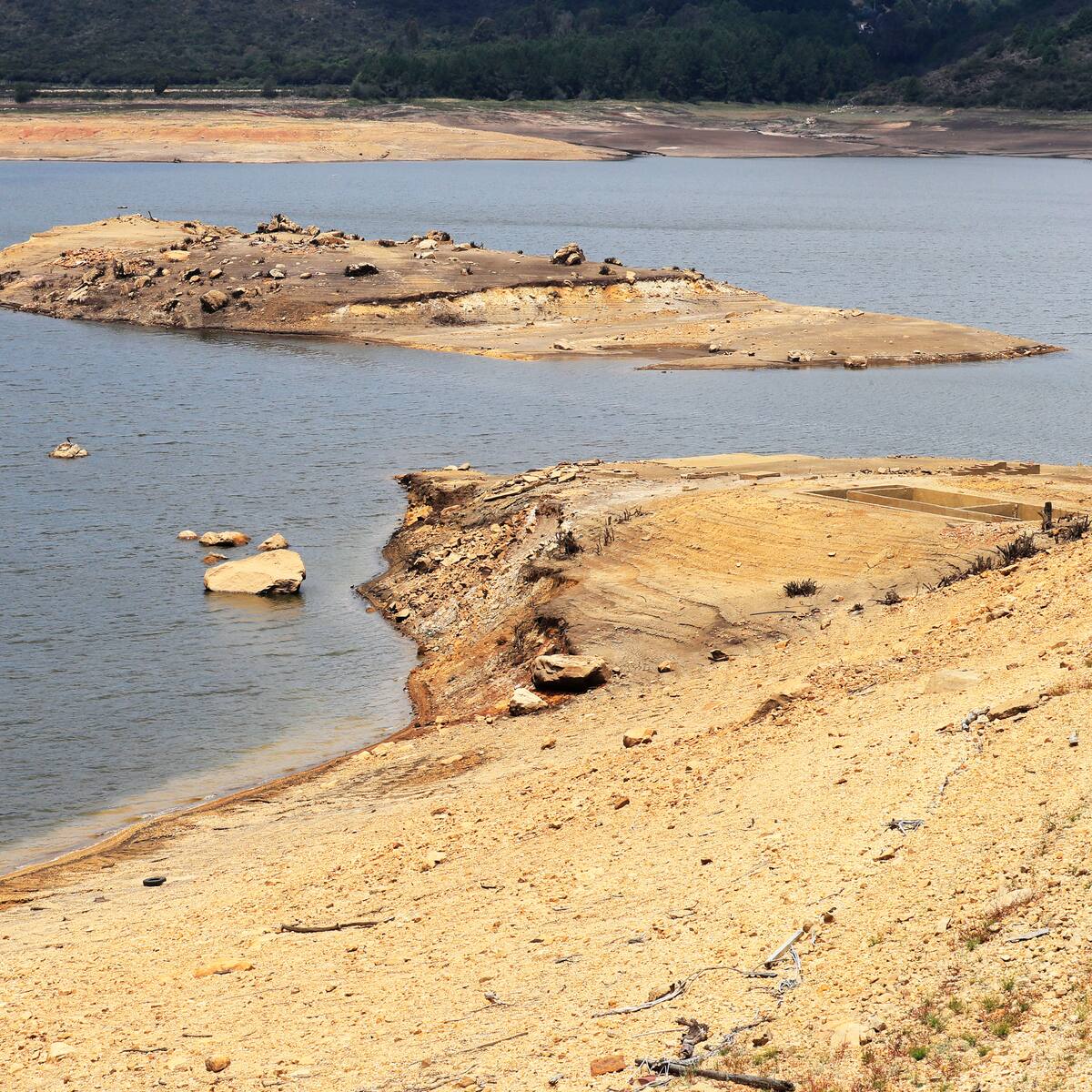 ANIF: “Estamos a cuatro o cinco días, si no llueve, de llegar al punto crítico de los embalses”