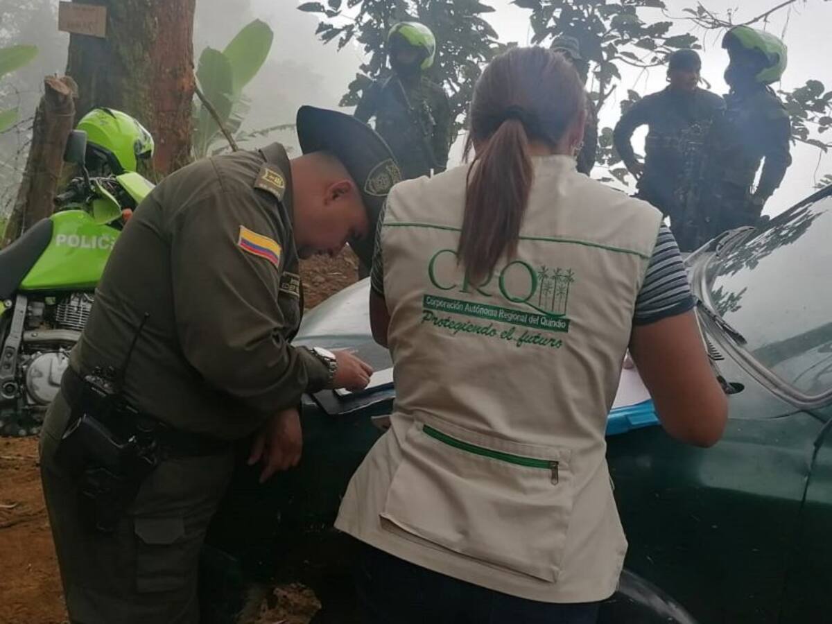 400 denuncias por afectación ambiental ha recibido la CRQ en Quindío