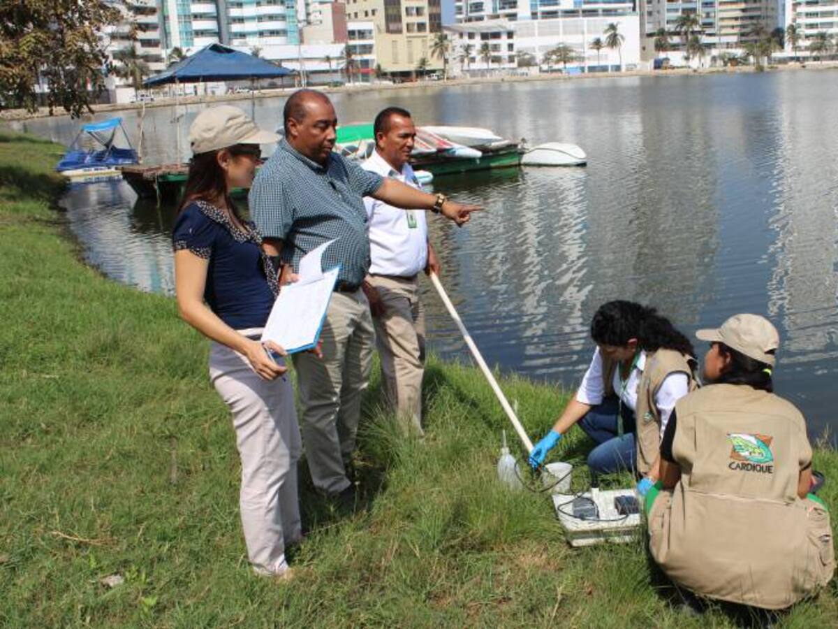 Cardique determinará causas de mortandad de peces en El Laguito en Cartagena
