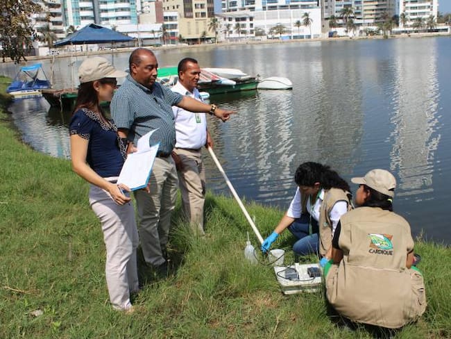 Cardique determinará causas de mortandad de peces en El Laguito en Cartagena