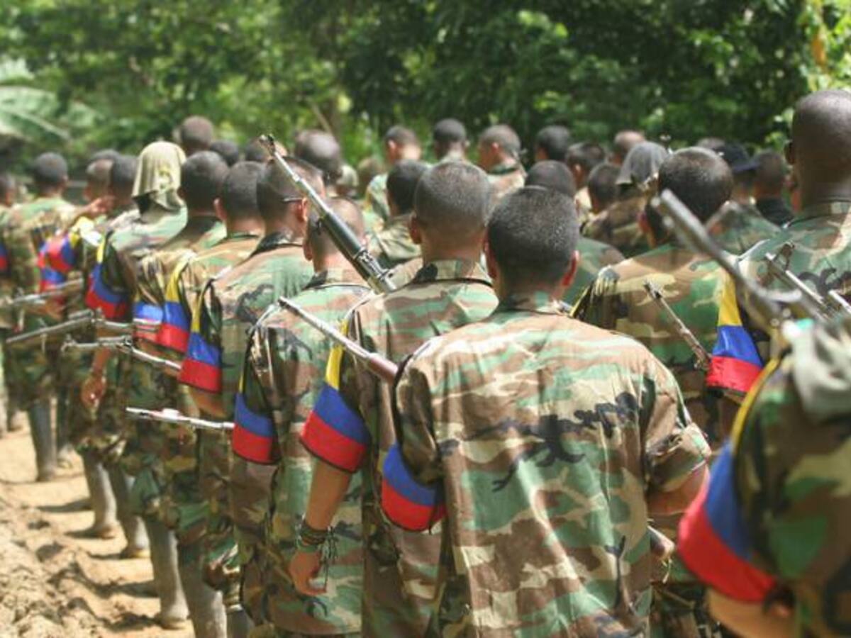 Las Farc empezaron la preparación de su “conferencia guerrillera”