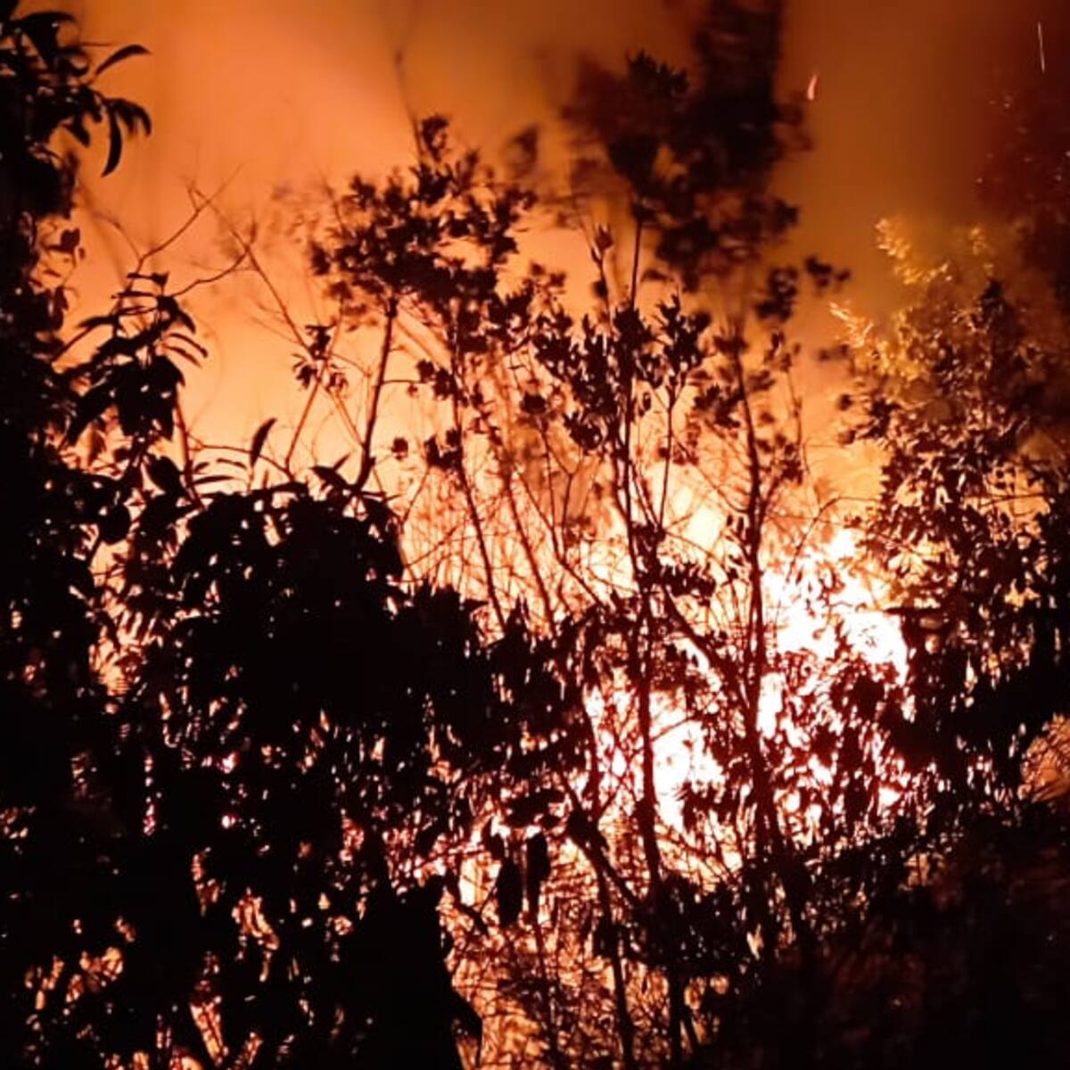 Alerta por incendios forestales en el área metropolitana de Bucaramanga