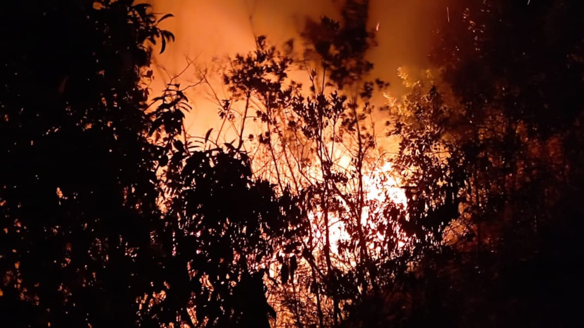 Alerta por incendios forestales en el área metropolitana de Bucaramanga