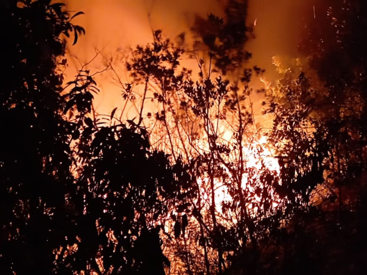 Alerta por incendios forestales en el área metropolitana de Bucaramanga