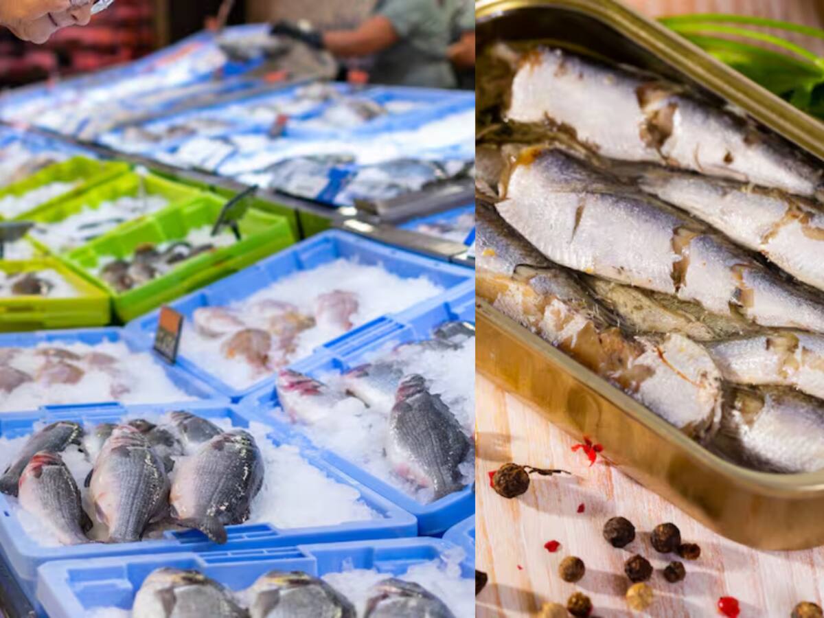 Semana Santa 2024: ¿Cómo evitar una intoxicación por ingesta de pescado?