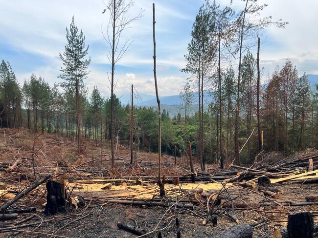 Gremios y empresas de Cauca y Valle