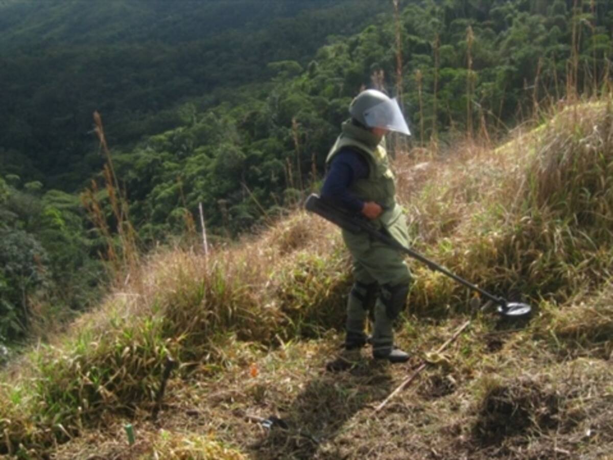 Por decreto Gobierno reglamenta desminado humanitario con las Farc