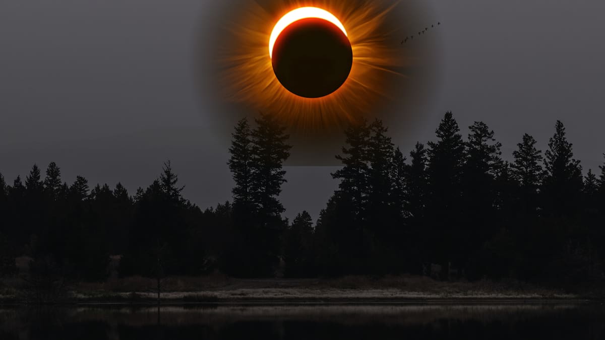 Eclipse lunar del 27 de agosto será visible en Colombia: ¿por qué la Luna se pondrá roja?