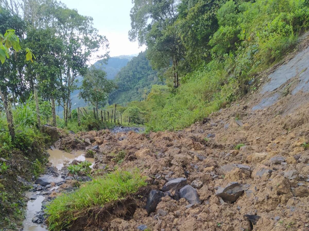 En La Belleza un derrumbe acabó con cultivos de cacao