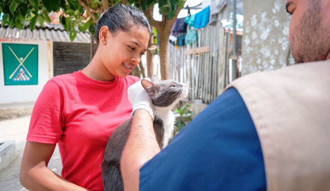 El equipo de la Umata, bajo la coordinación de protección animal, todos los meses priorizará una zona de la ciudad en beneficio de estos animales